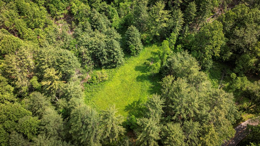 TBD Old Bridle Creek Dr.