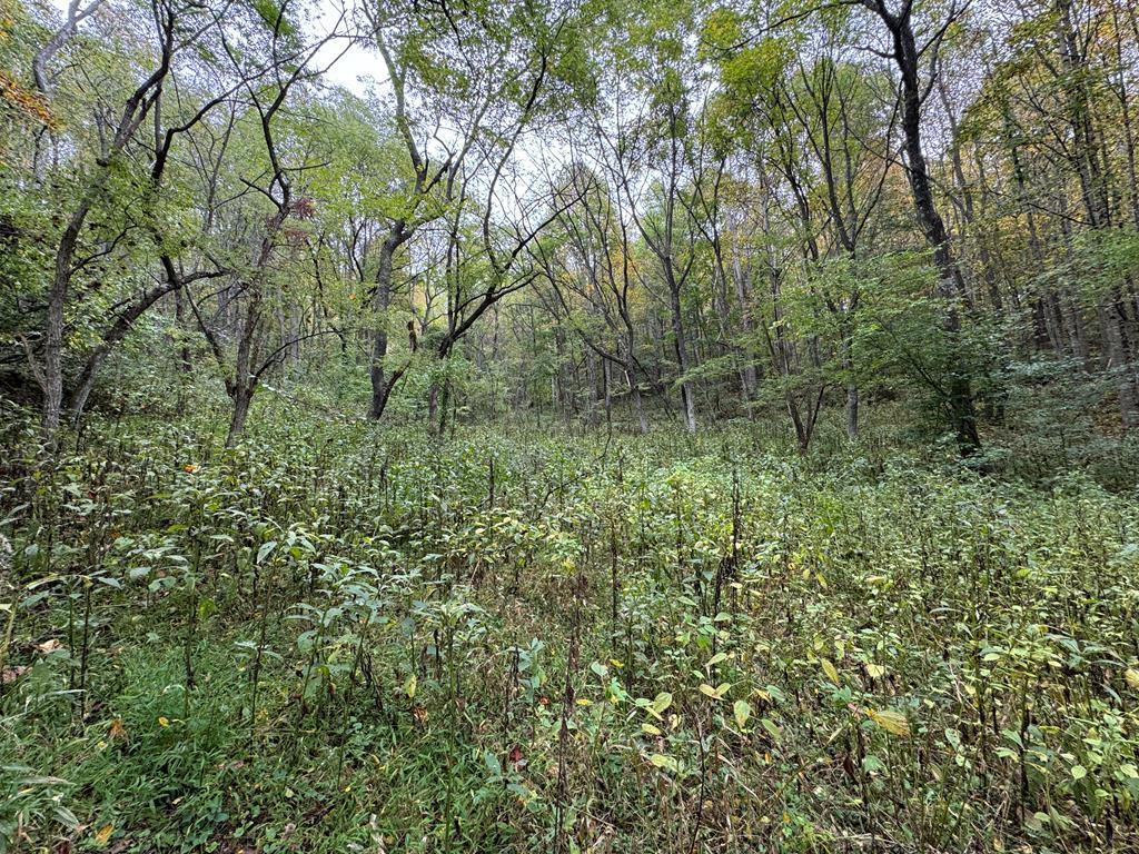 Tbd Soapridge Rd. Property Photo 2