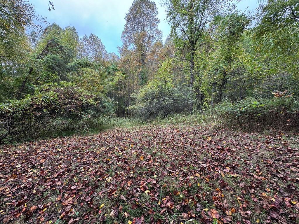 Tbd Soapridge Rd. Property Photo 3