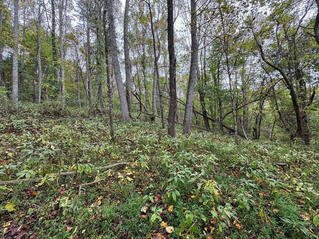 Tbd Soapridge Rd. Property Photo 4