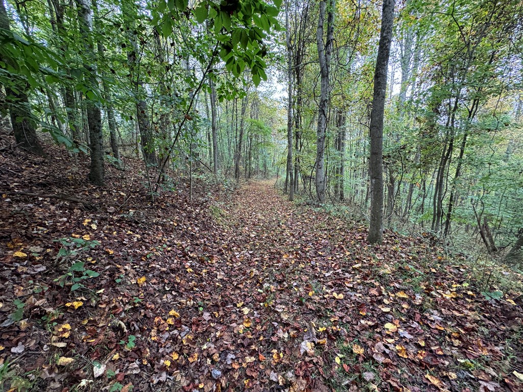 Tbd Soapridge Rd. Property Photo 7