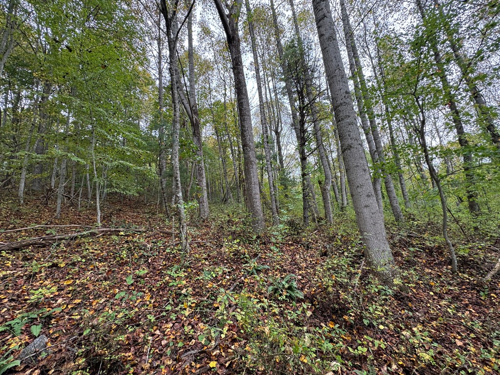 Tbd Soapridge Rd. Property Photo 8