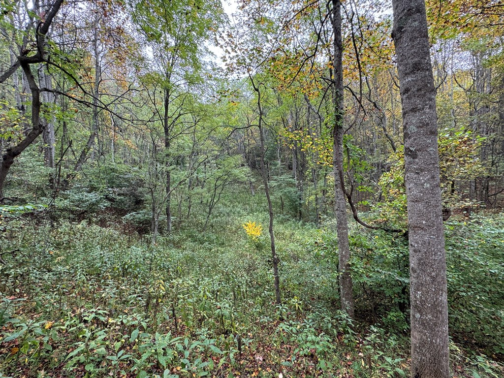 Tbd Soapridge Rd. Property Photo 9