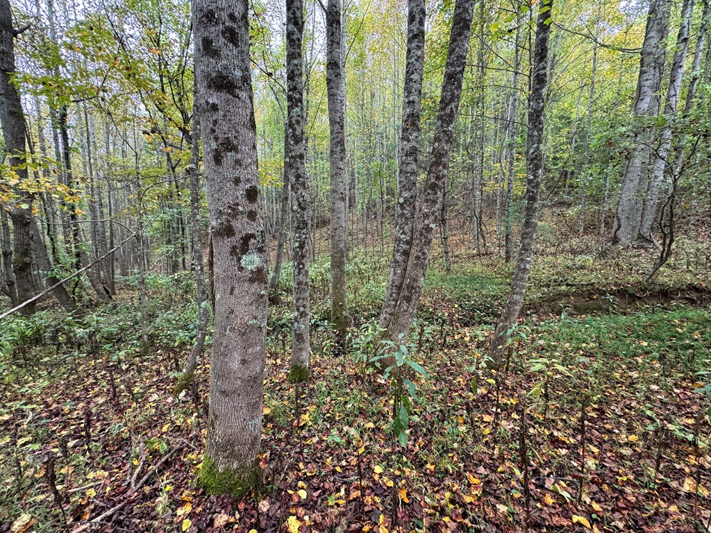 Tbd Soapridge Rd. Property Photo 11
