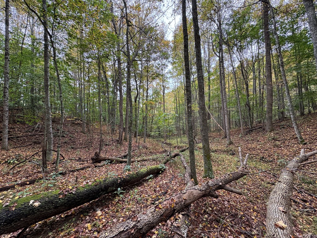 Tbd Soapridge Rd. Property Photo 16