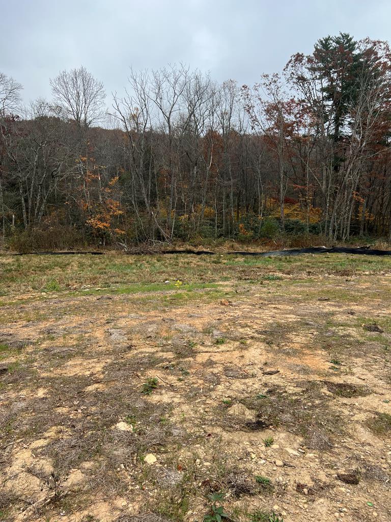 209 Holly Lane Property Photo 1