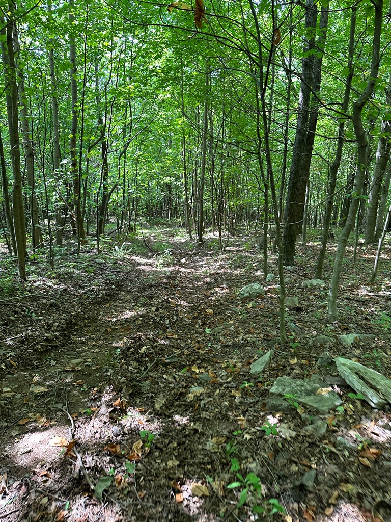 Tbd Blankenship Mountain Road Property Photo 10