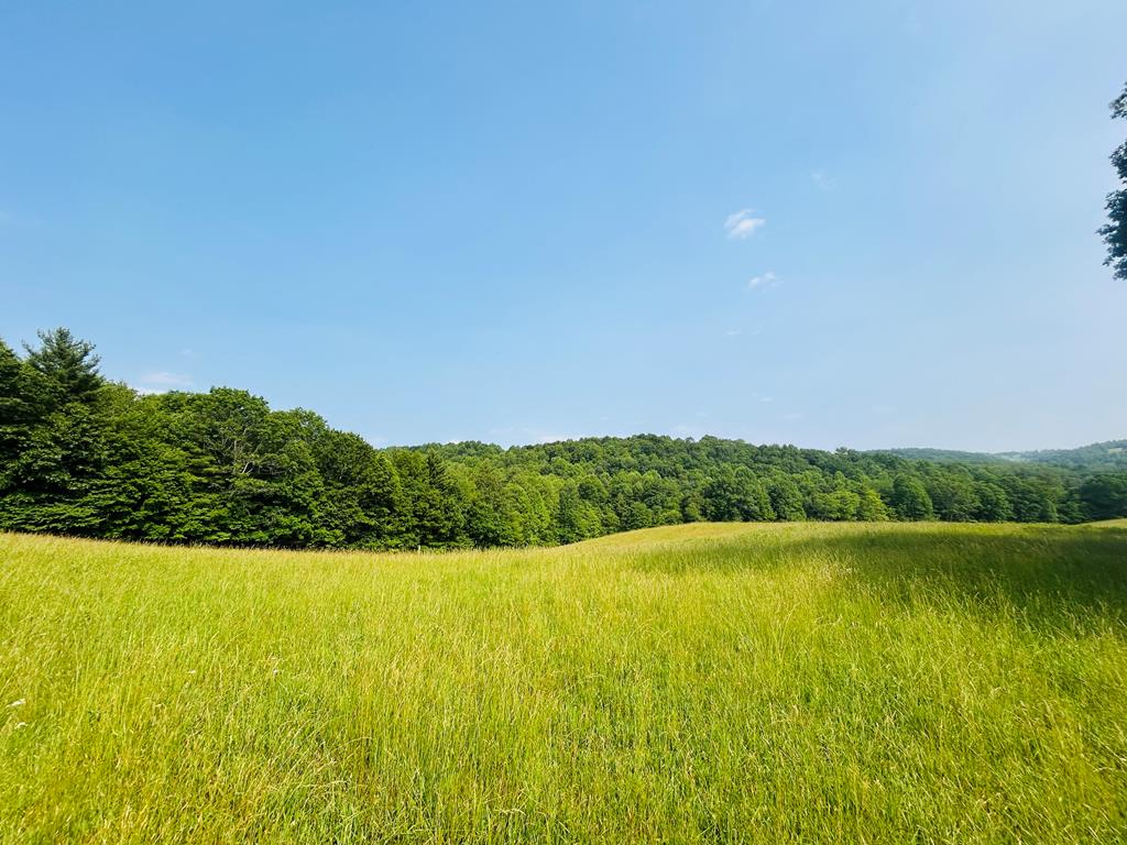 Tbd Shady Grove Road Property Photo 1