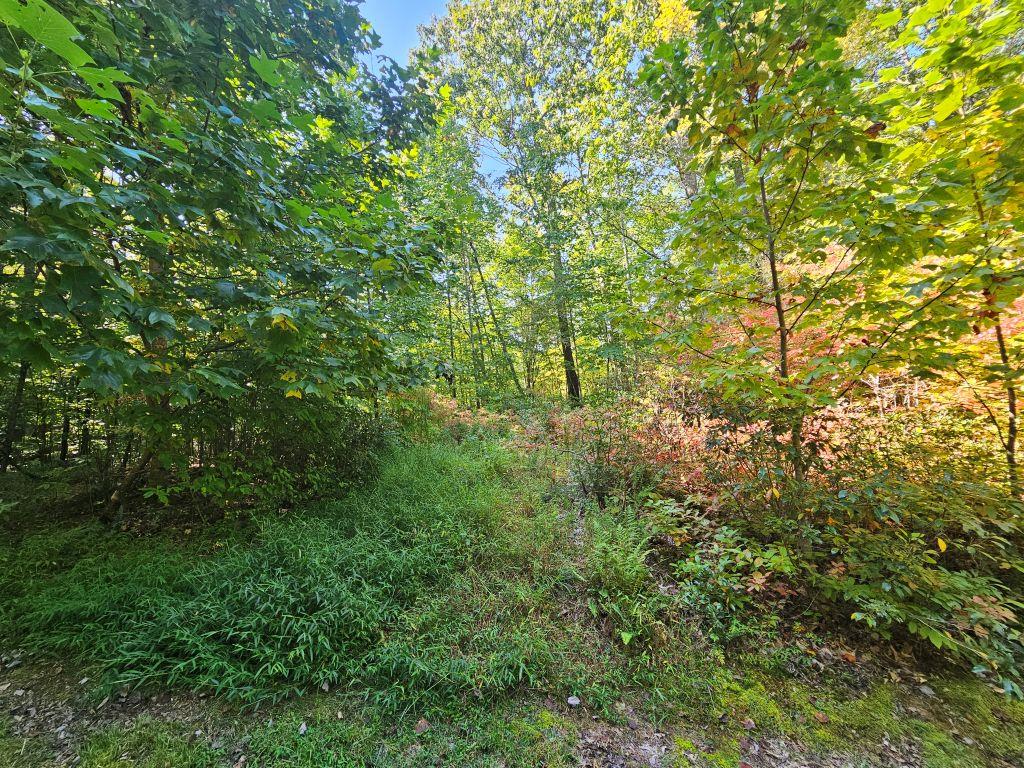 Lot 17 Fox Hollow Dr Property Photo 1