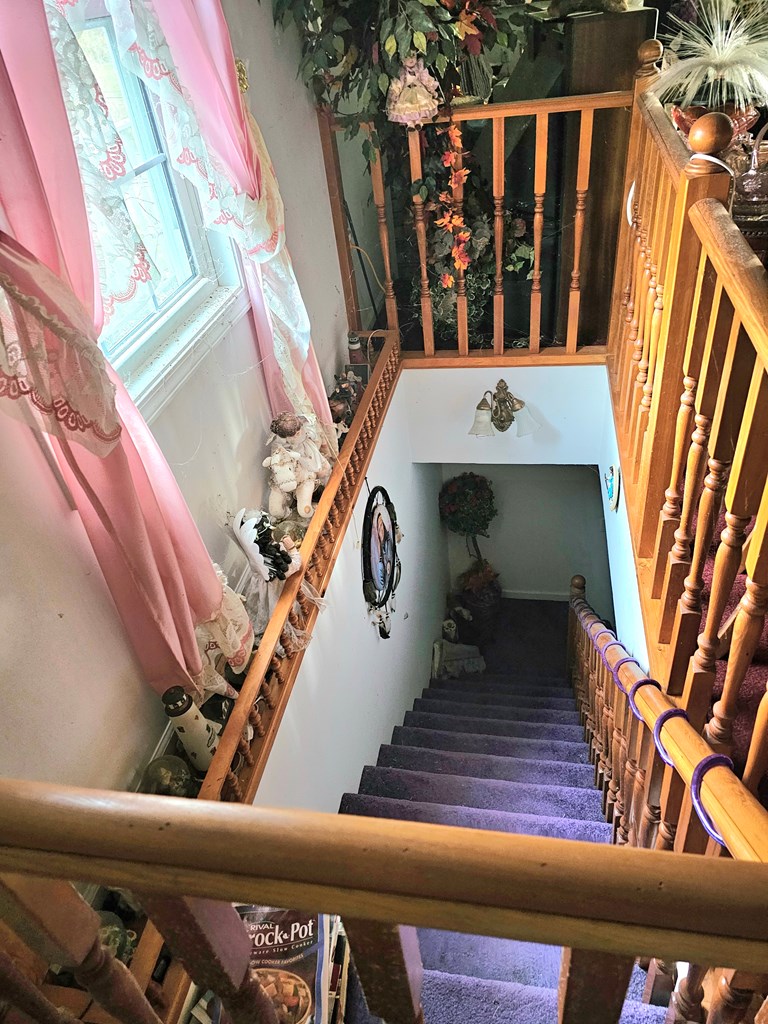 107 Deer Track Lane Property Photo 19