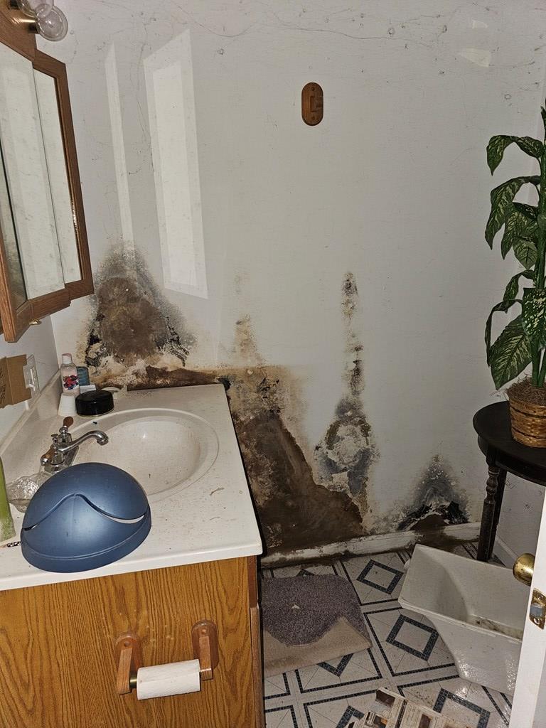 107 Deer Track Lane Property Photo 33