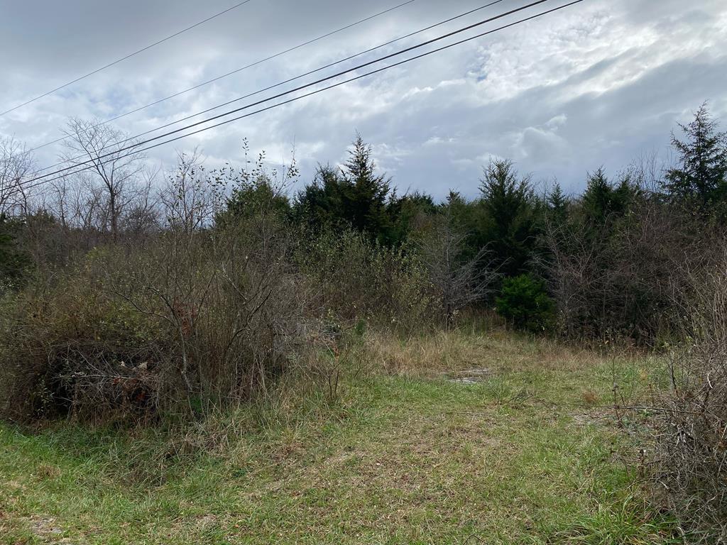 0 Moose Street Property Photo 1