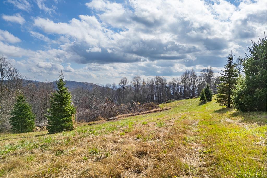 Dogwood Ridge Real Estate Listings Main Image