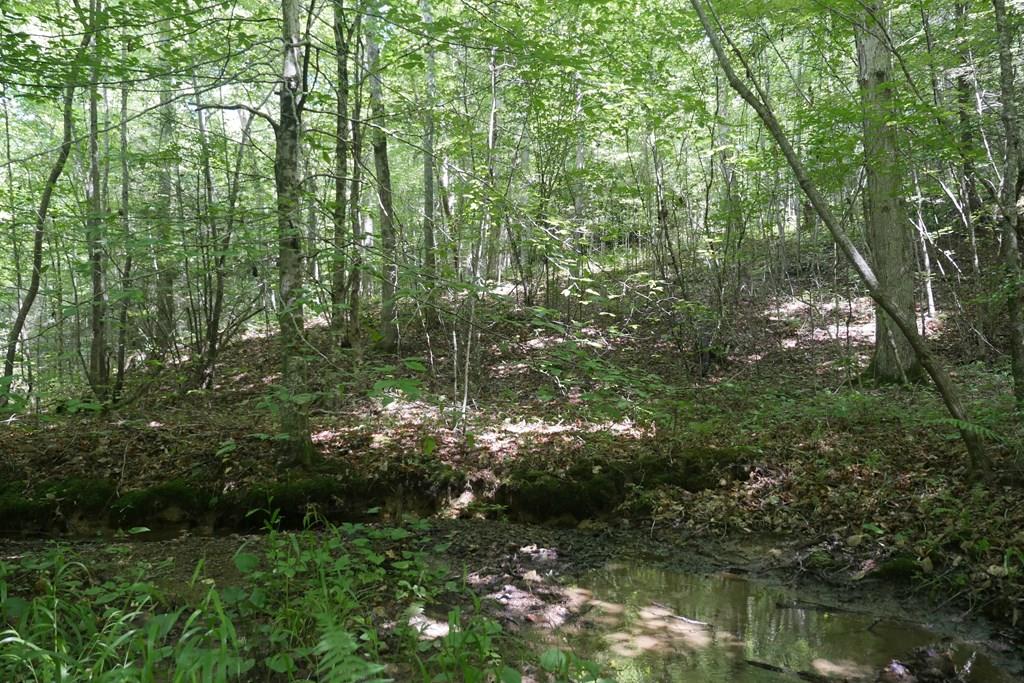 Tbd State Route 606 Property Photo