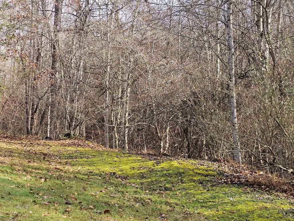 4232 Russell Creek Rd Property Photo