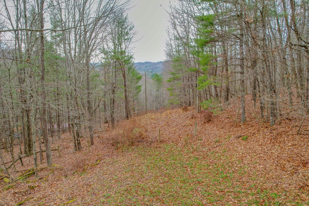 523 Falls Rd Property Photo 59