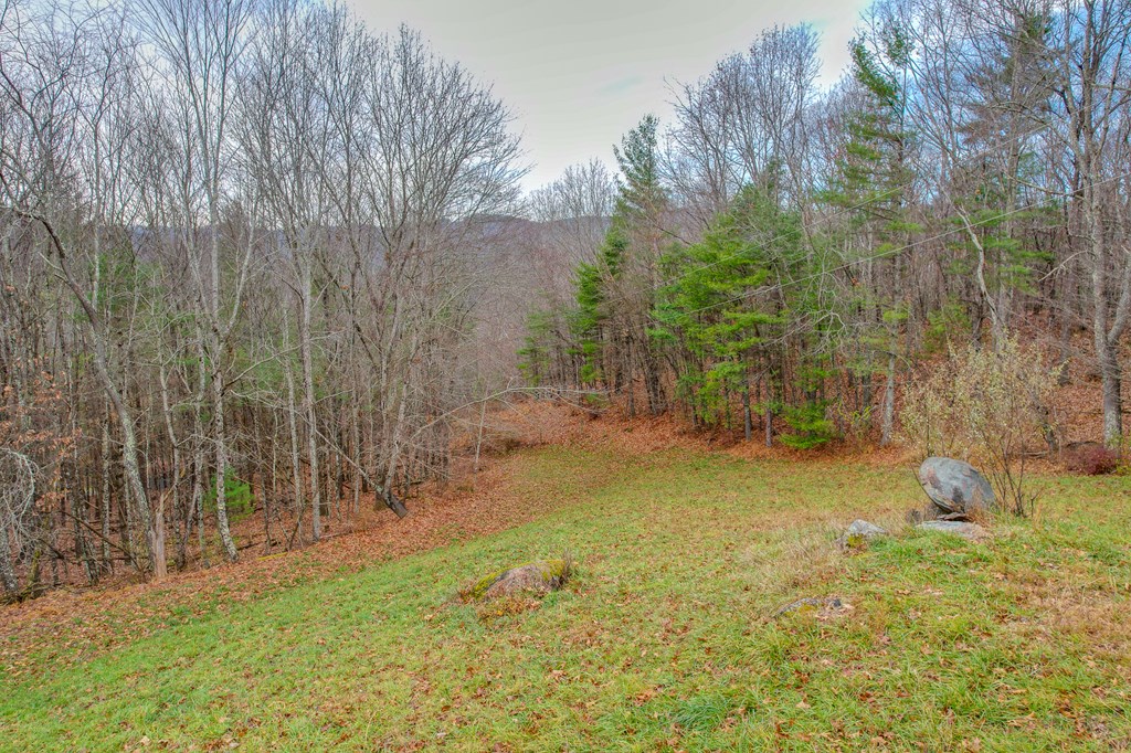 523 Falls Rd Property Photo 60