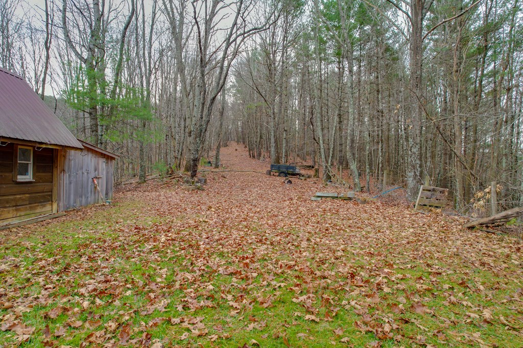 523 Falls Rd Property Photo 64