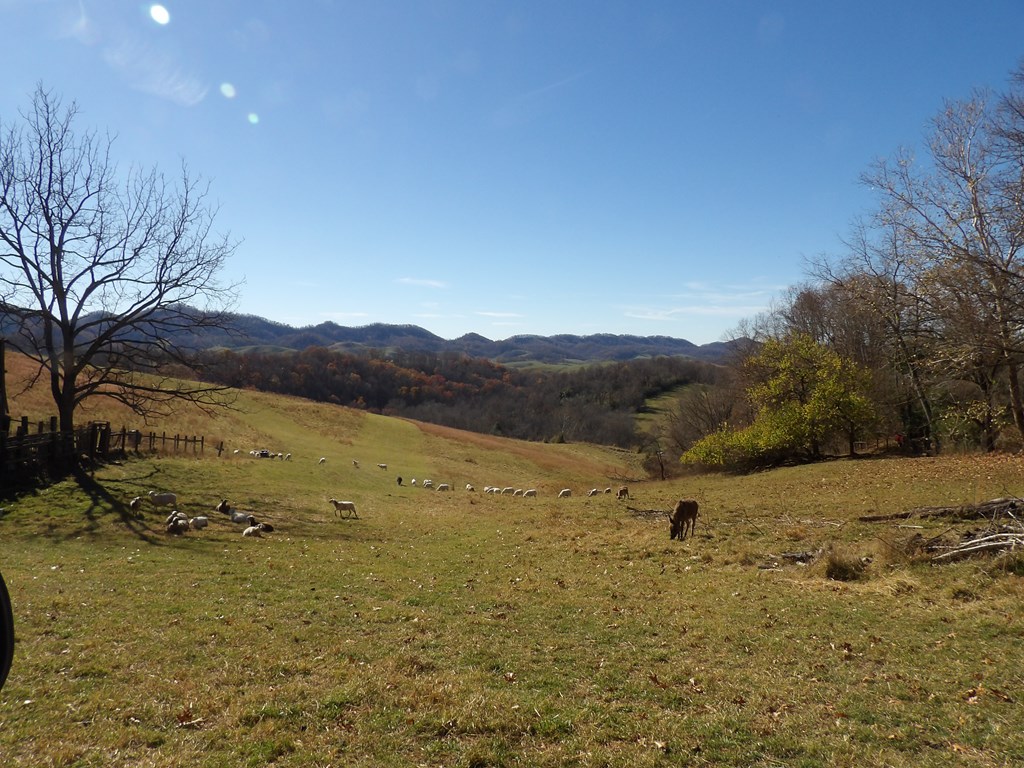 107 Edgewood/crusenberry Rd Property Photo 3