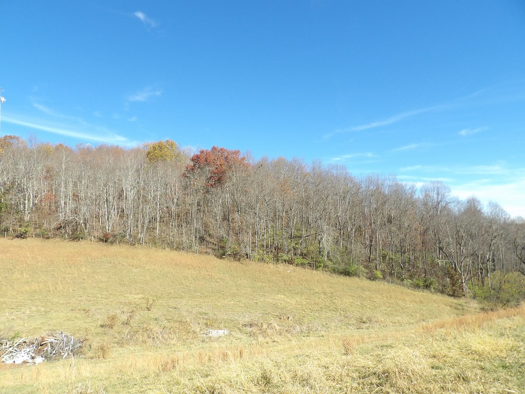107 Edgewood/crusenberry Rd Property Photo 8