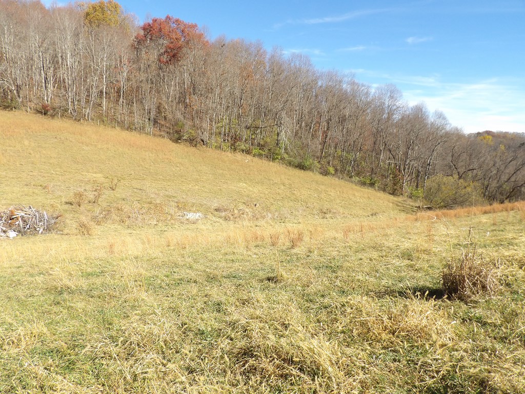 107 Edgewood/crusenberry Rd Property Photo 10