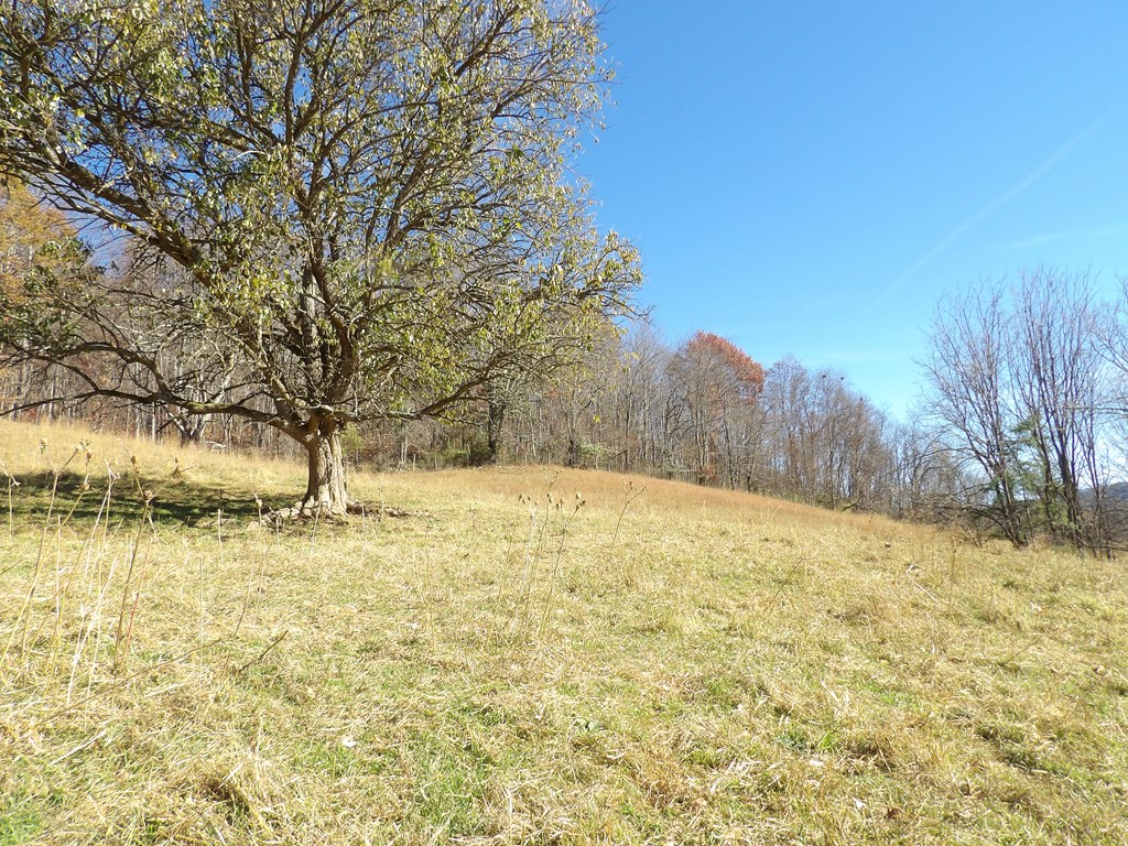 107 Edgewood/crusenberry Rd Property Photo 16