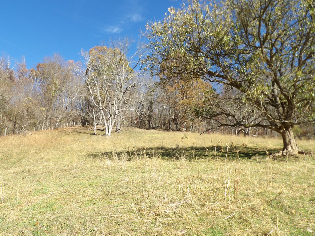 107 Edgewood/crusenberry Rd Property Photo 23