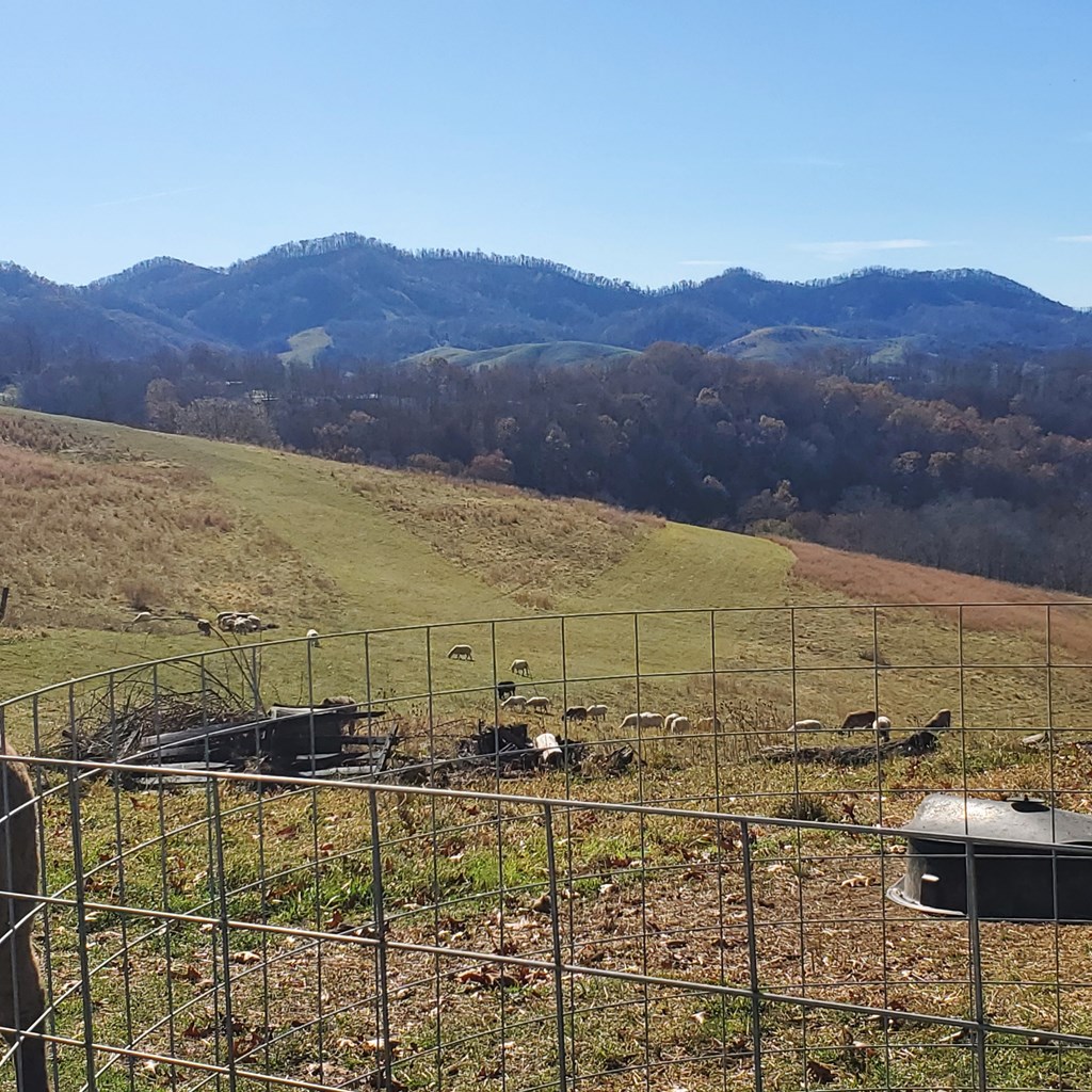 107 Edgewood/crusenberry Rd Property Photo 26