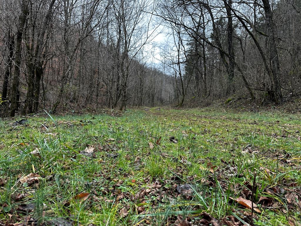 Tbd Kingdom Road Property Photo