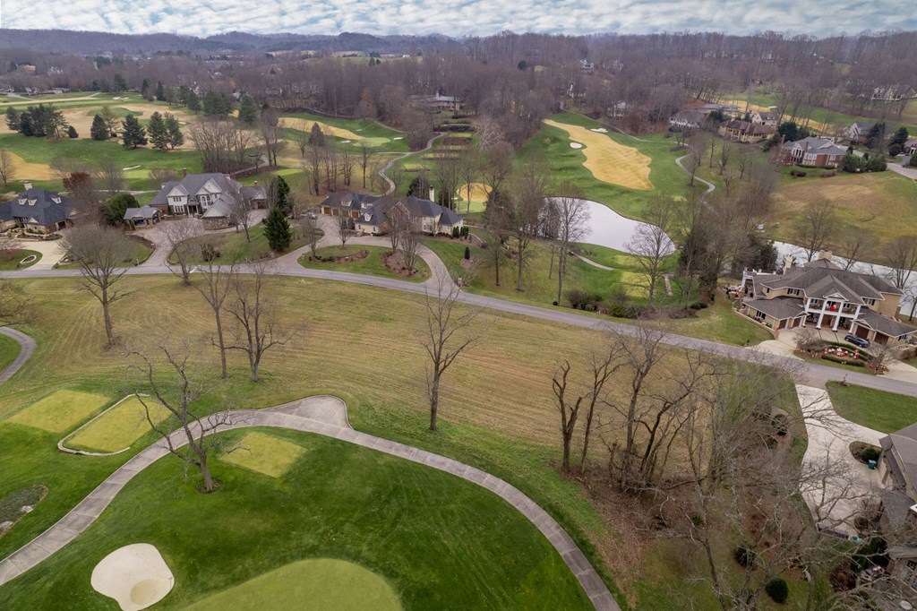 Lot #113 Springview Ridge Property Photo 4