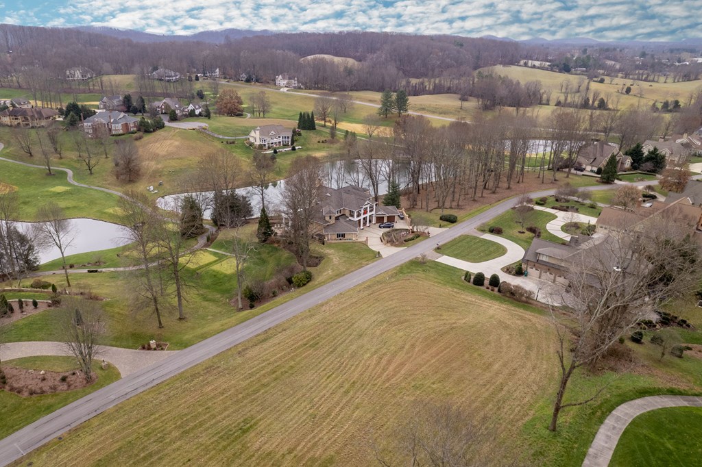 Lot #113 Springview Ridge Property Photo 5