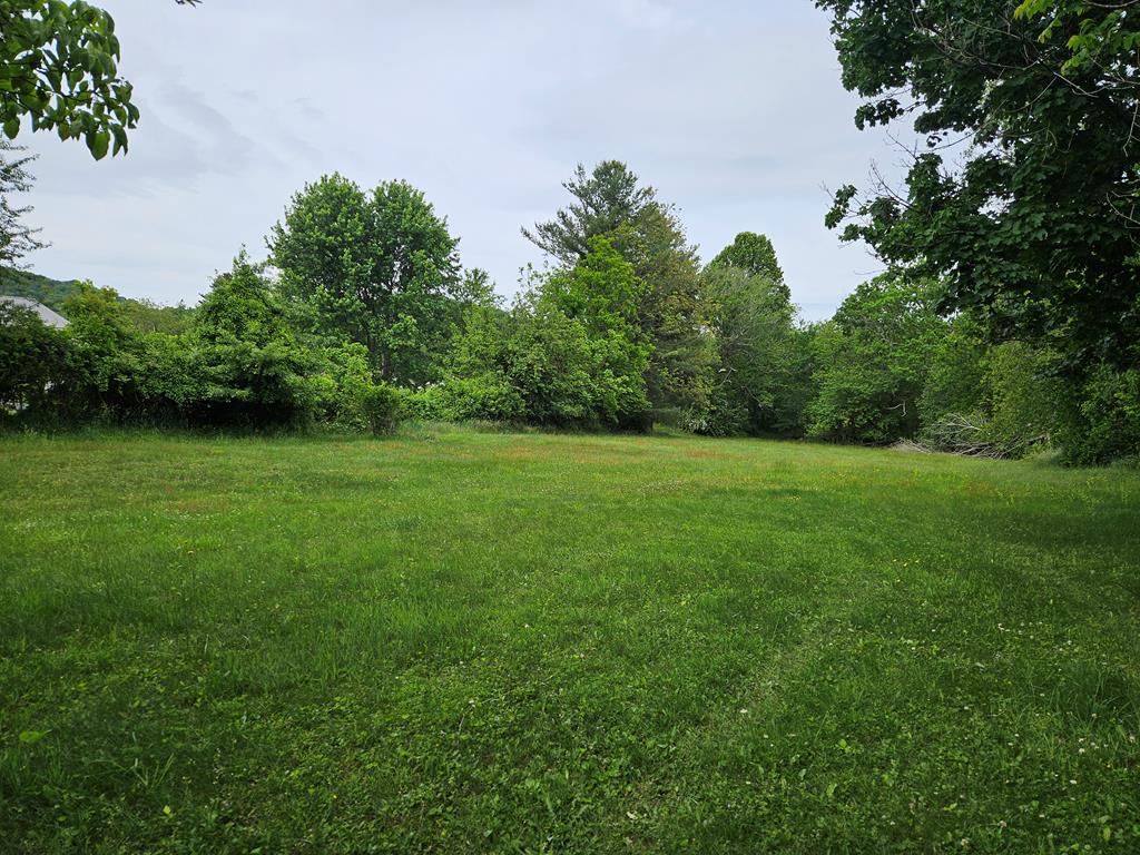 Tbd E Cheek Street Property Photo 1