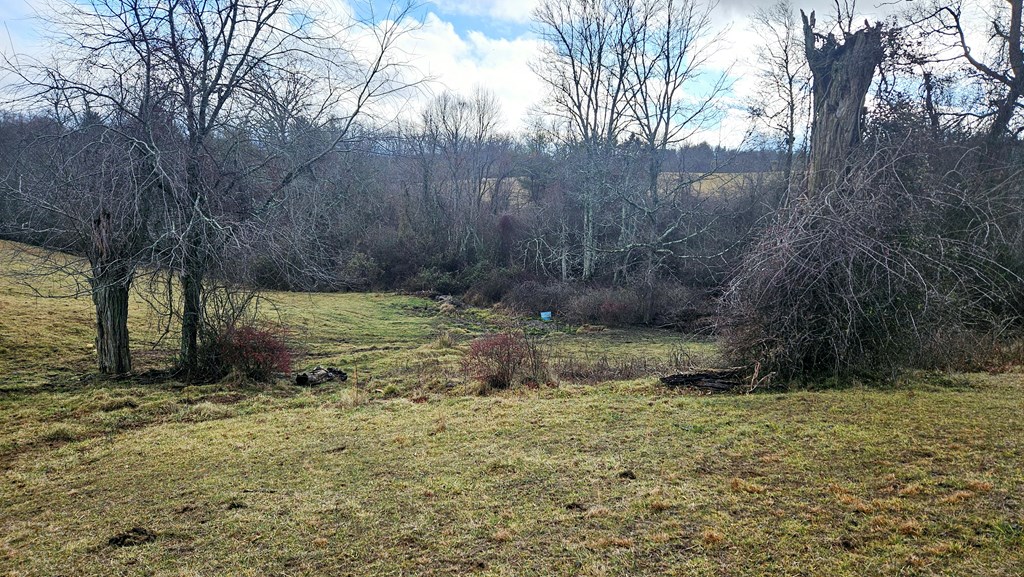 Tbd Double Cabin Rd. Property Photo 5