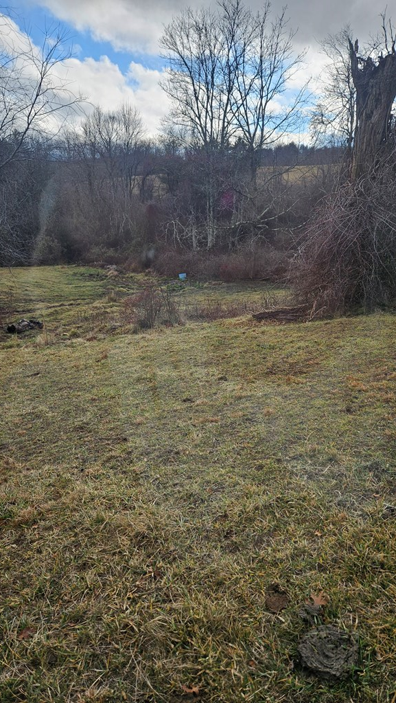 Tbd Double Cabin Rd. Property Photo 6