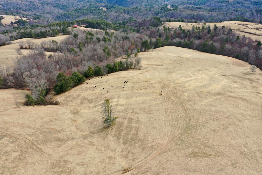Tbd Double Cabin Rd. Property Photo 8