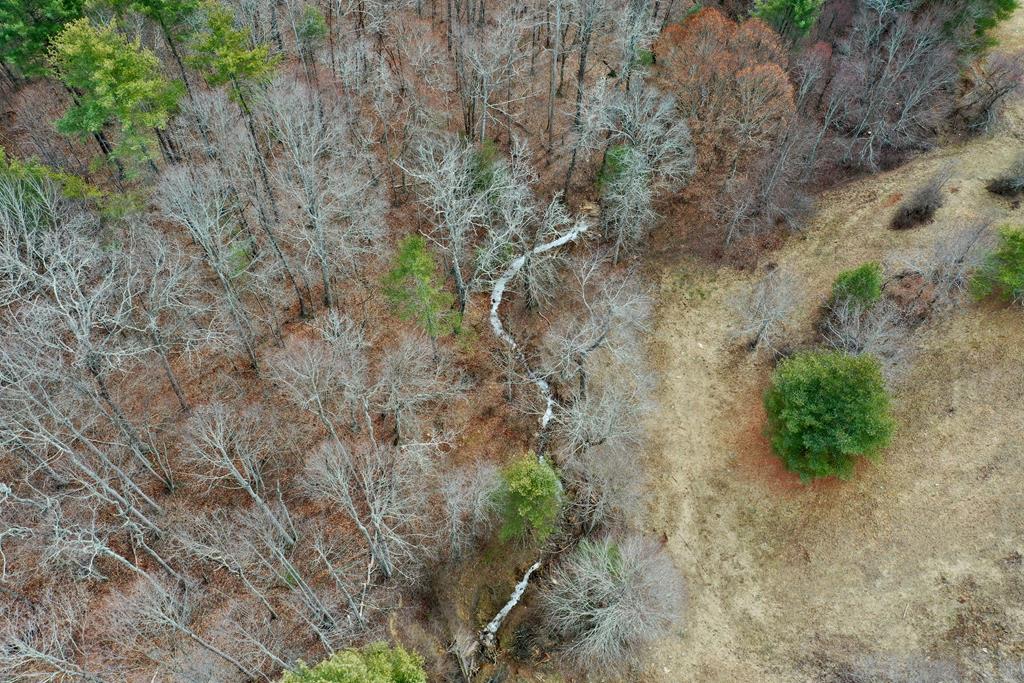 Tbd Double Cabin Rd. Property Photo 15