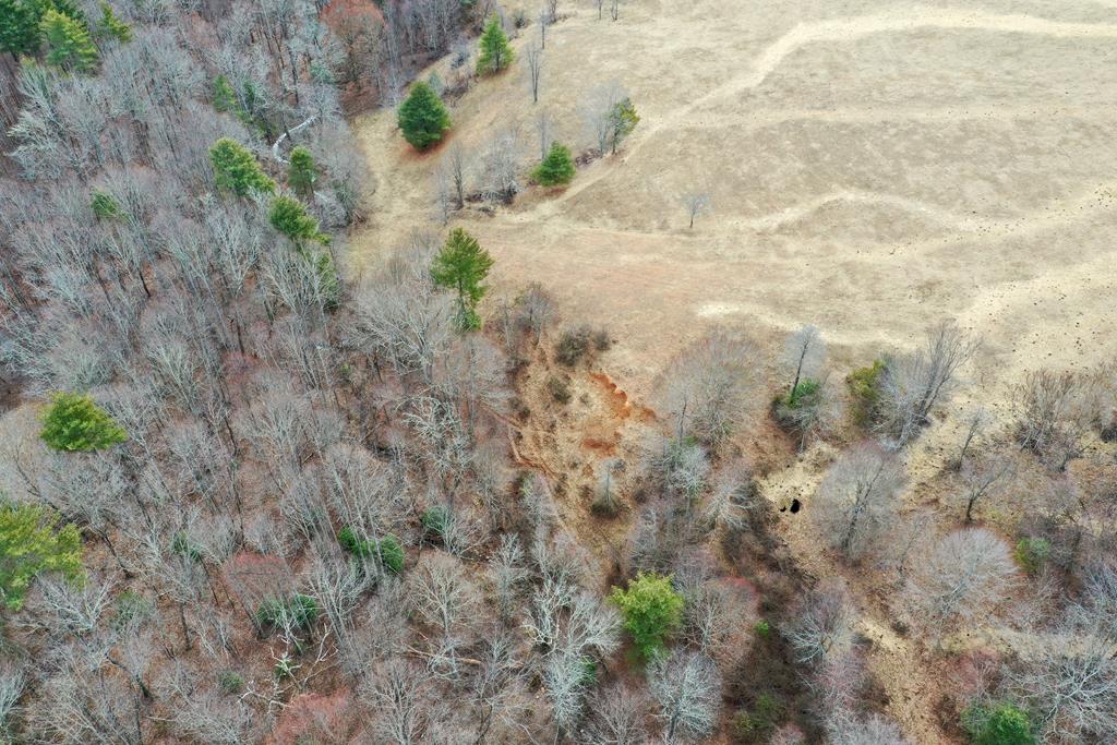 Tbd Double Cabin Rd. Property Photo 16