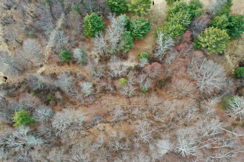 Tbd Double Cabin Rd. Property Photo 17