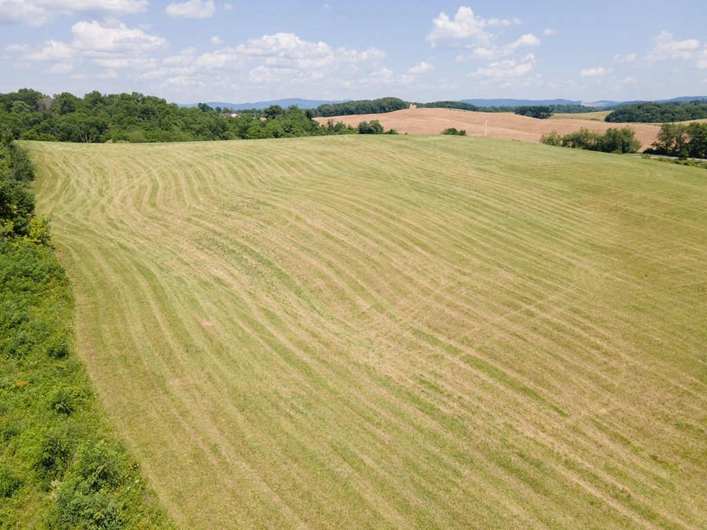 Lot 38 East Lee Highway Property Photo 23