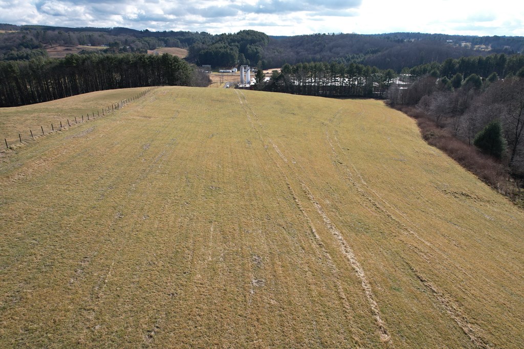 Tbd Edgewood Drive Property Photo 2