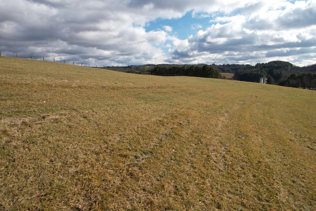 Tbd Edgewood Drive Property Photo 8
