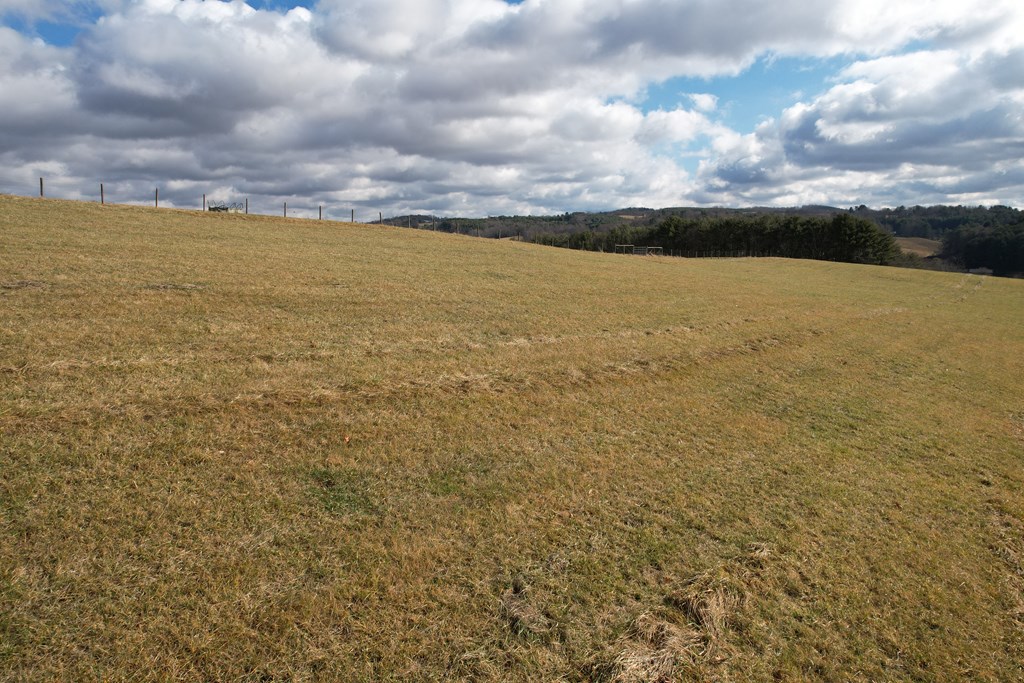 Tbd Edgewood Drive Property Photo 10