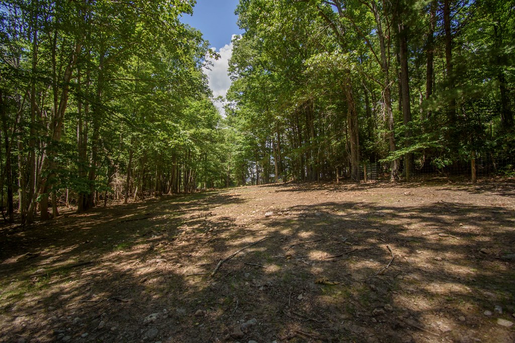 Tbd Floyd Hwy South Property Photo 17