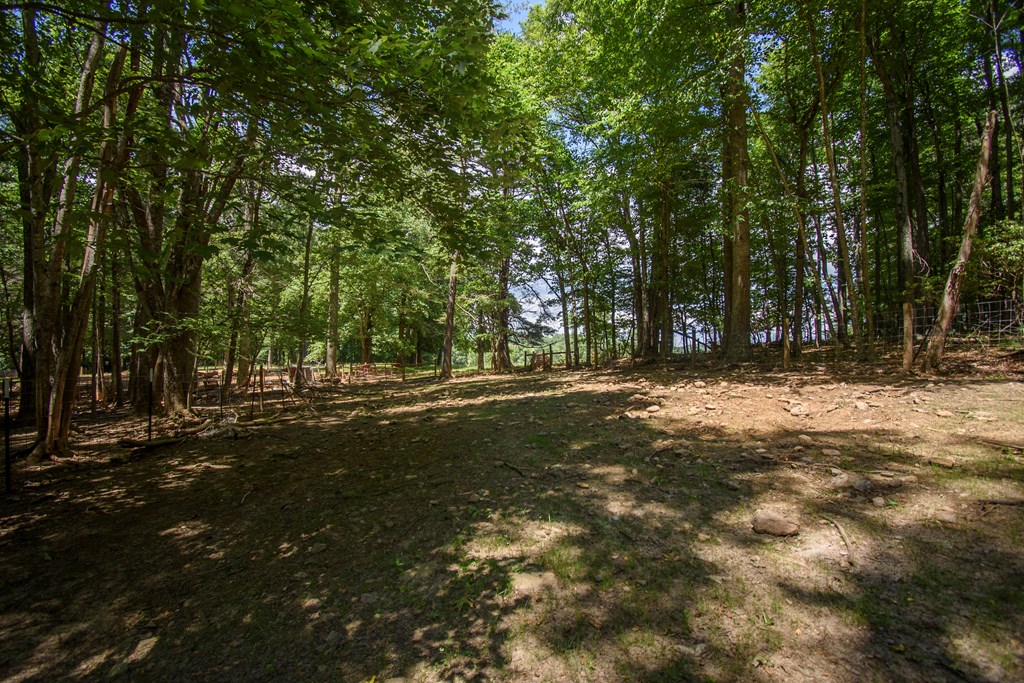 Tbd Floyd Hwy South Property Photo 18
