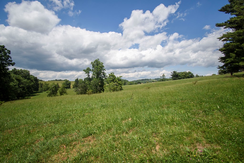 Tbd Floyd Hwy South Property Photo 20