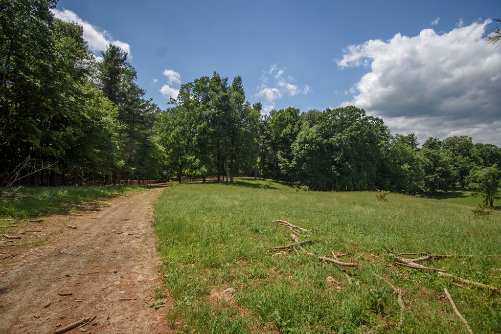 Tbd Floyd Hwy South Property Photo 21