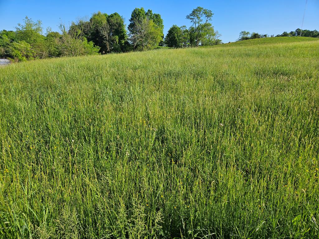 Lot 7e Tranbarger Rd Property Photo 1
