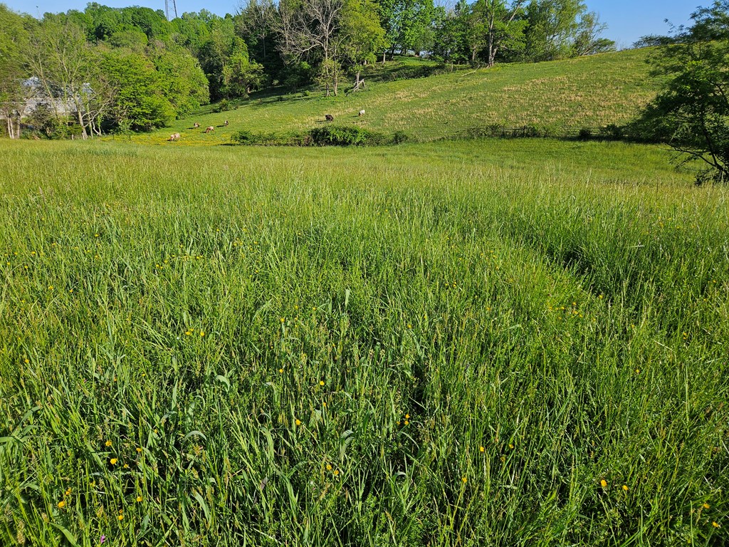 Lot 7e Tranbarger Rd Property Photo 5