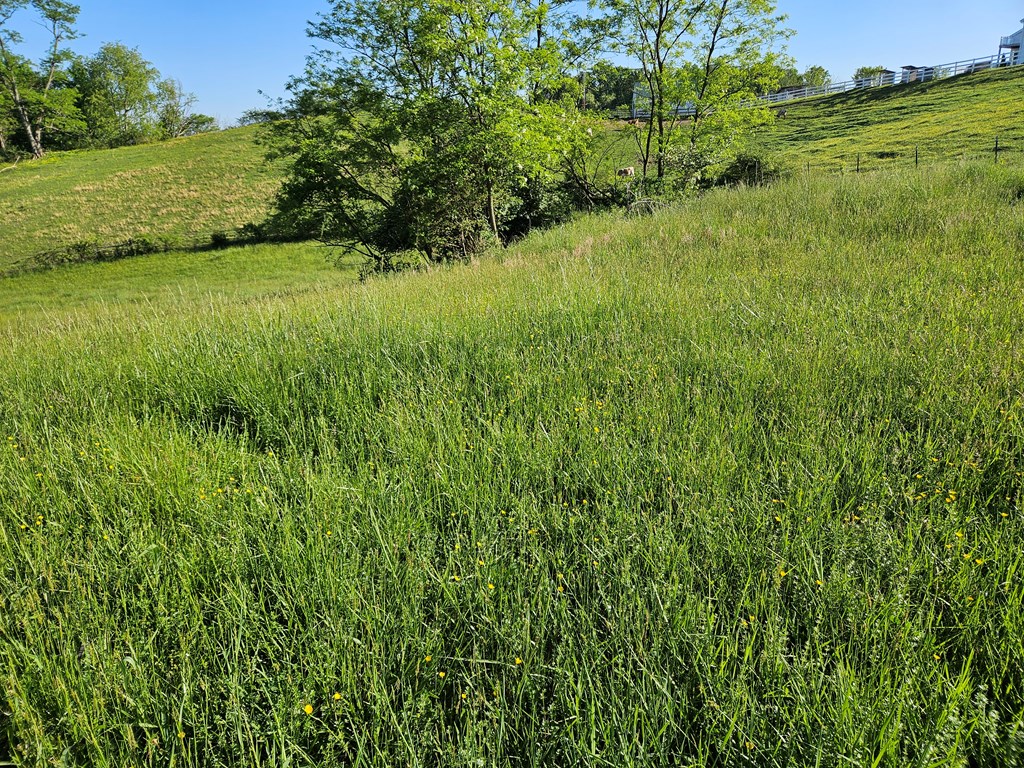 Lot 7e Tranbarger Rd Property Photo 6