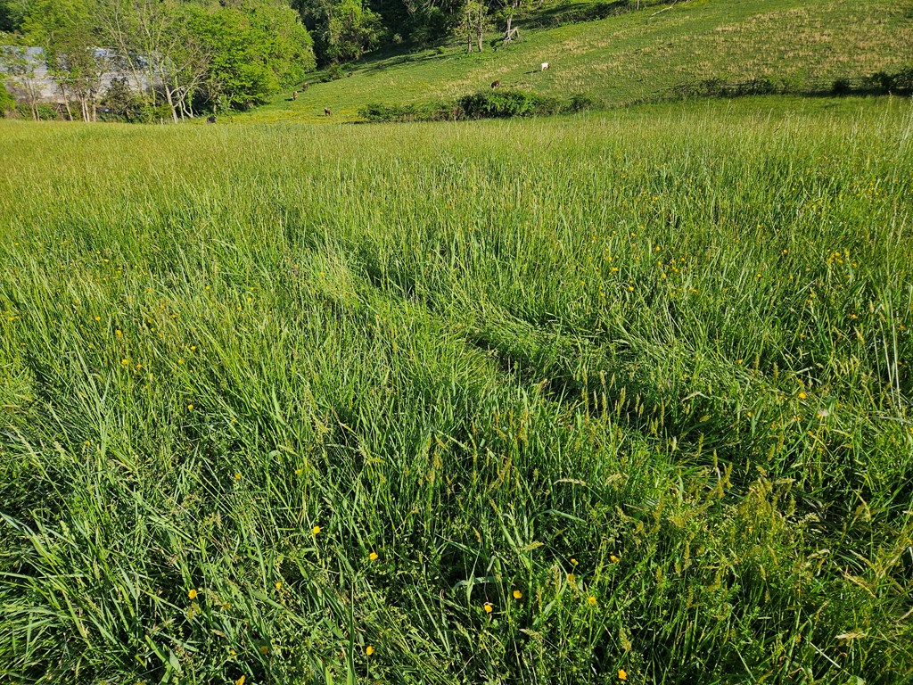 Lot 7e Tranbarger Rd Property Photo 7